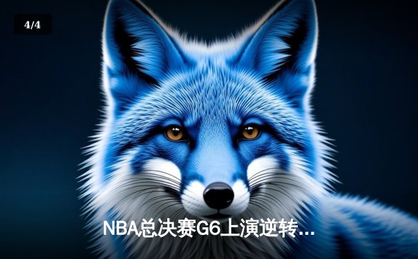 NBA总决赛G6上演逆转奇迹 丹佛掘金加时险胜热火问鼎总冠军 - 4